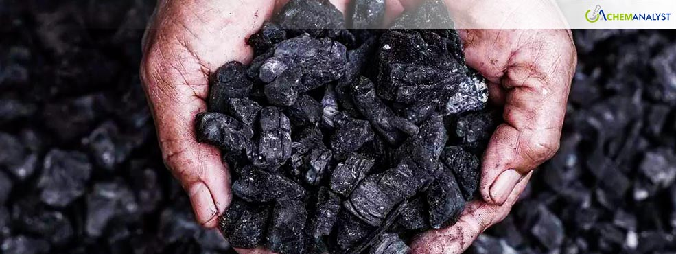 Pet Coke Price Rally Continues in February 2025 Despite a Decline in Crude Futures